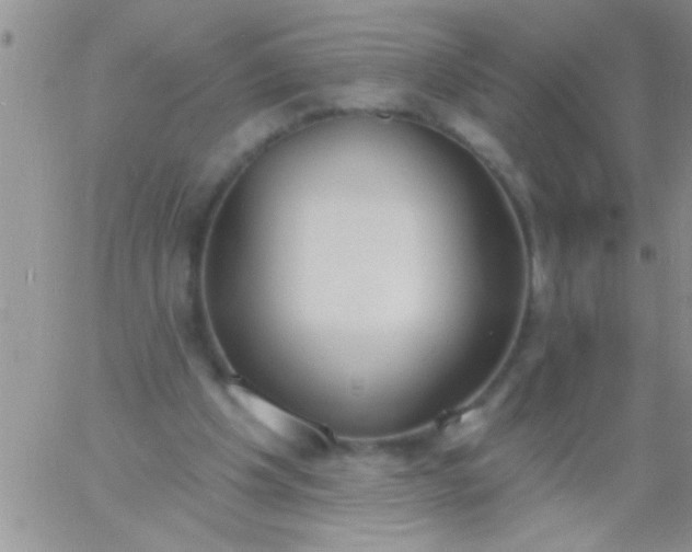 X0000060810201200511241944