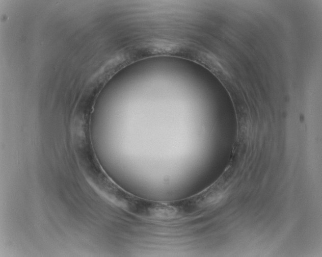 X0000060810215200511241943