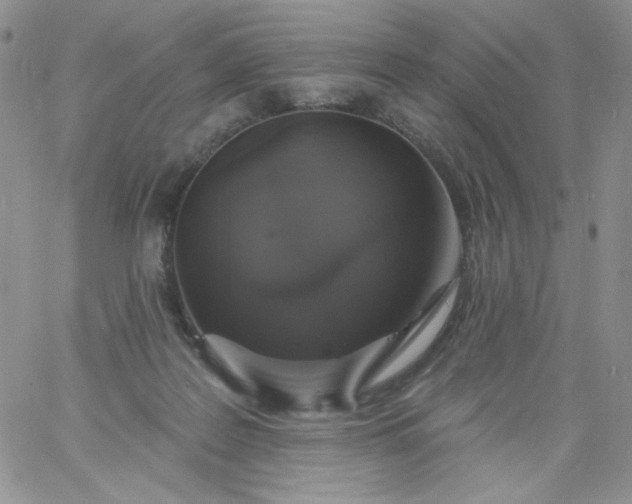 X0000060810219200511241943