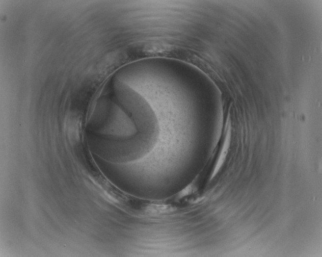 X0000060810227200511241943
