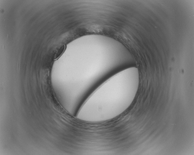X0000060810229200511241943