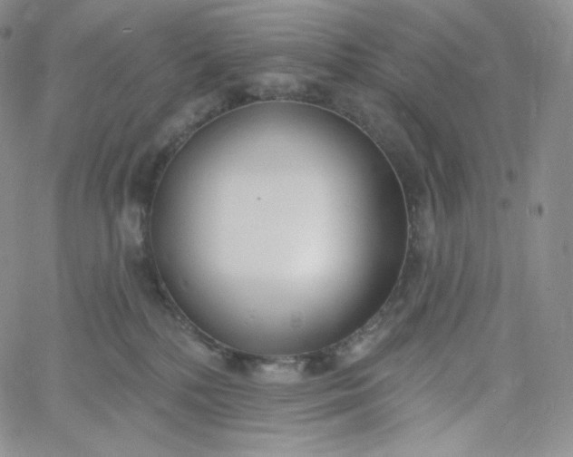 X0000060810232200511241943