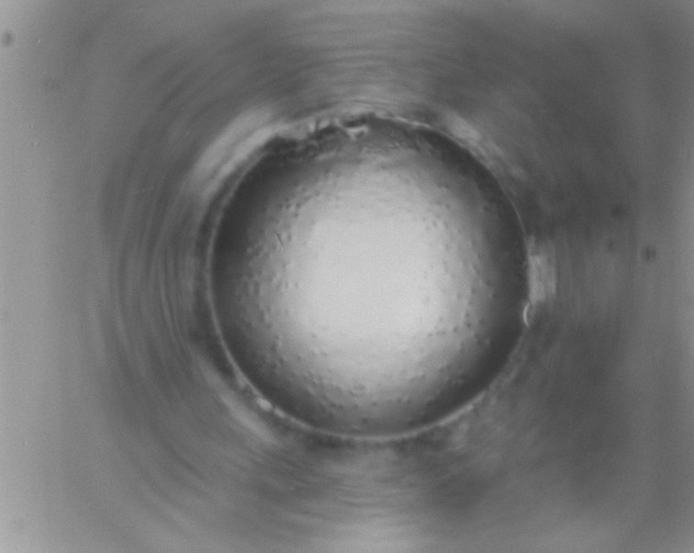 X0000060810243200511241942