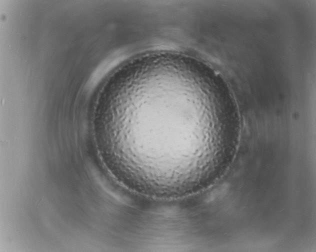 X0000060810247200511241942