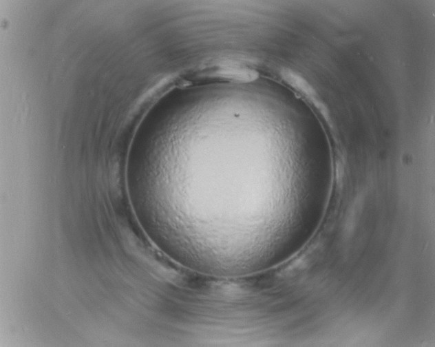 X0000060810249200511241942