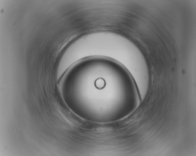 X0000060810251200511241942