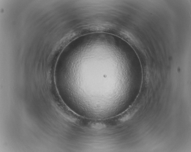 X0000060810258200511241943