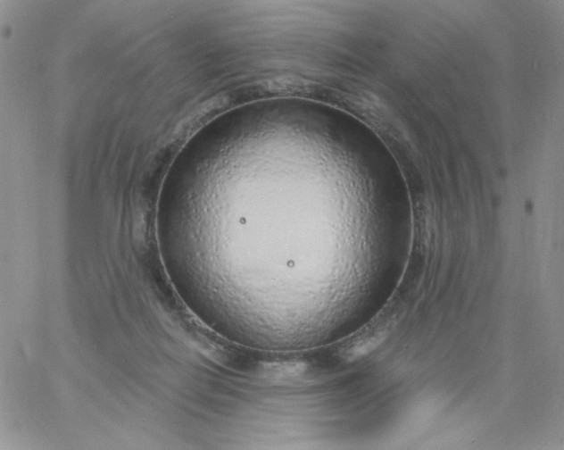 X0000060810266200511241943
