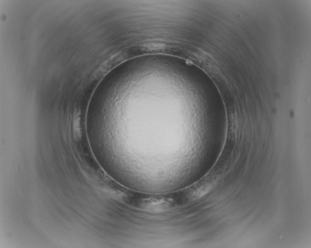 X0000060810267200511241943