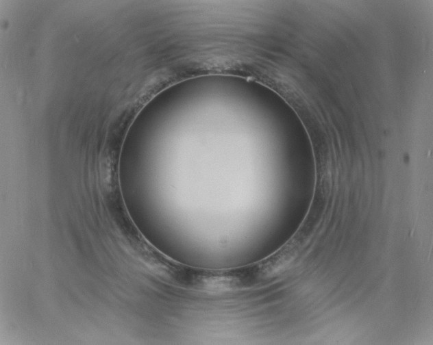 X0000060810268200511241943