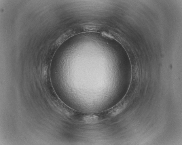 X0000060810271200511241943