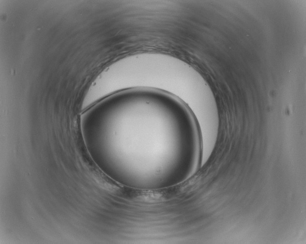 X0000060810278200511241943