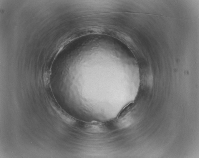 X0000060810285200511241943
