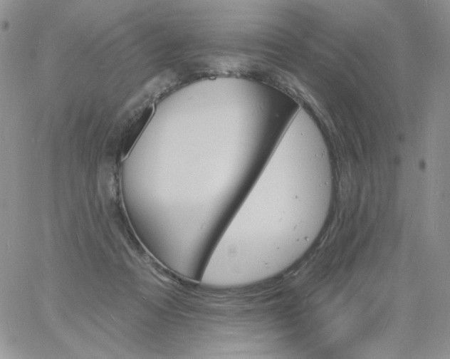 X0000060810313200511241942