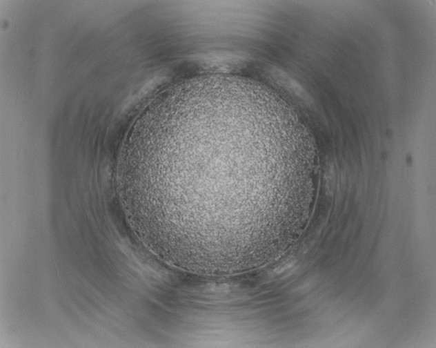 X0000060810314200511241942