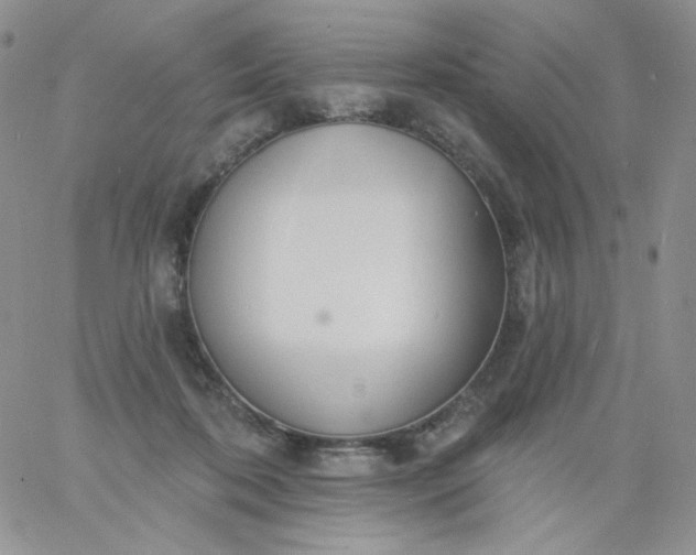X0000060810316200511241942