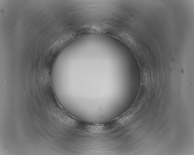 X0000060810318200511241942