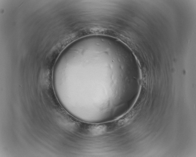 X0000060810319200511241942
