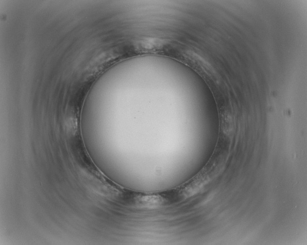 X0000060810324200511241942