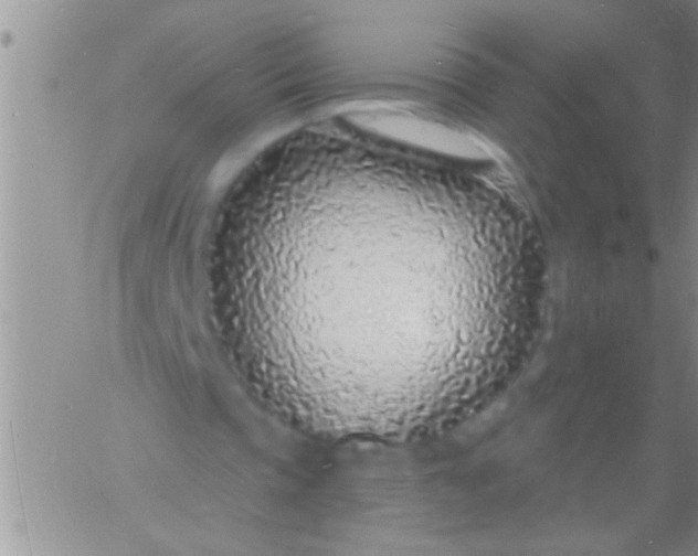 X0000060810337200511241941
