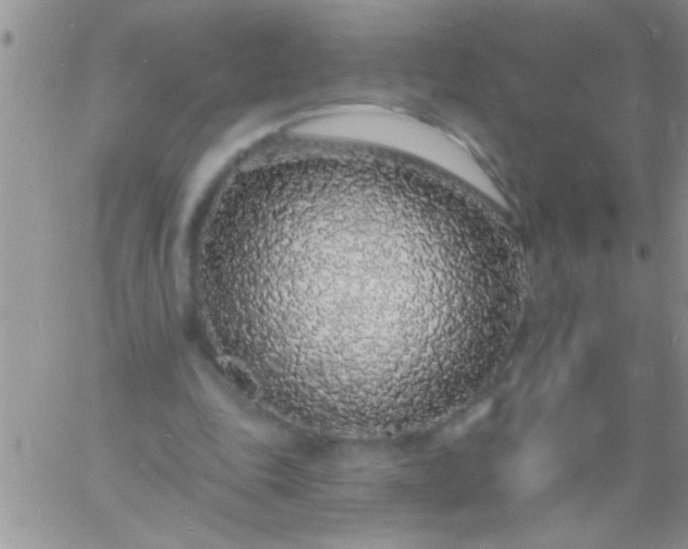 X0000060810343200511241941