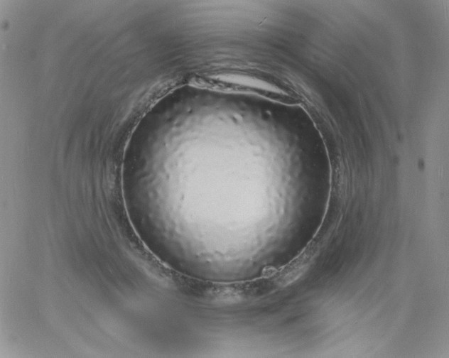 X0000060810361200511241941