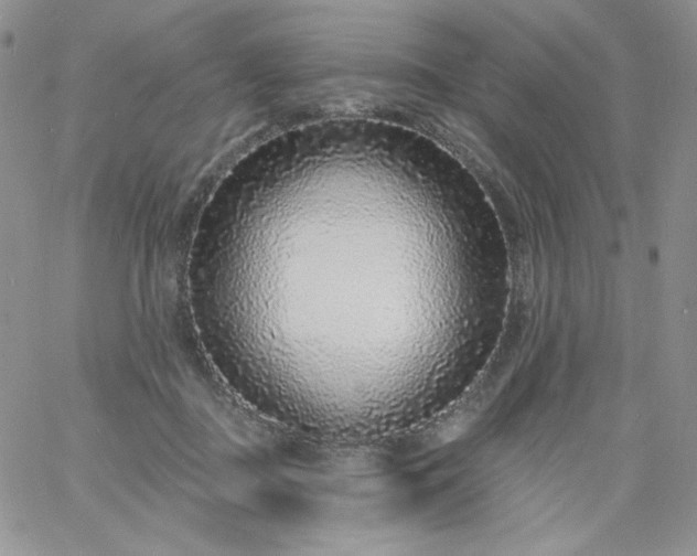 X0000060810363200511241941