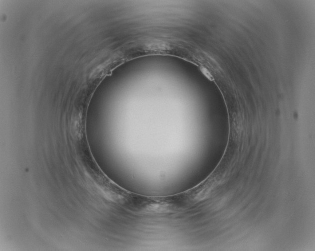 X0000060810364200511241941
