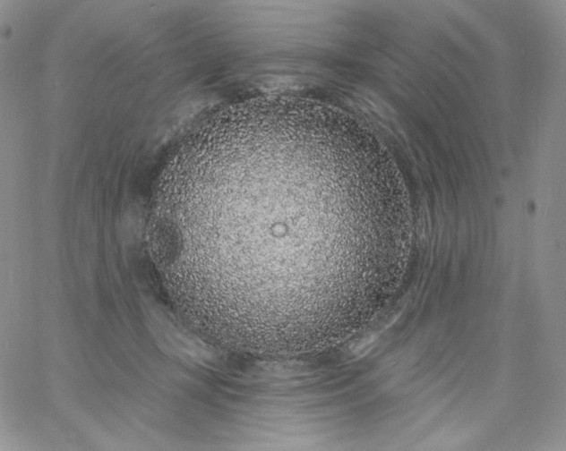 X0000060810367200511241941