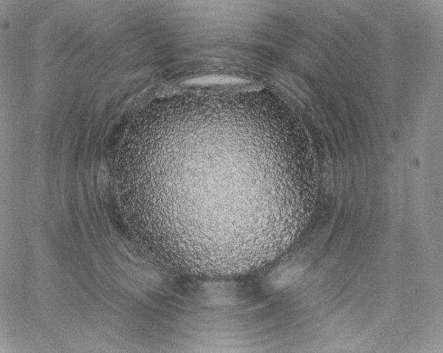 X0000060810371200511241941