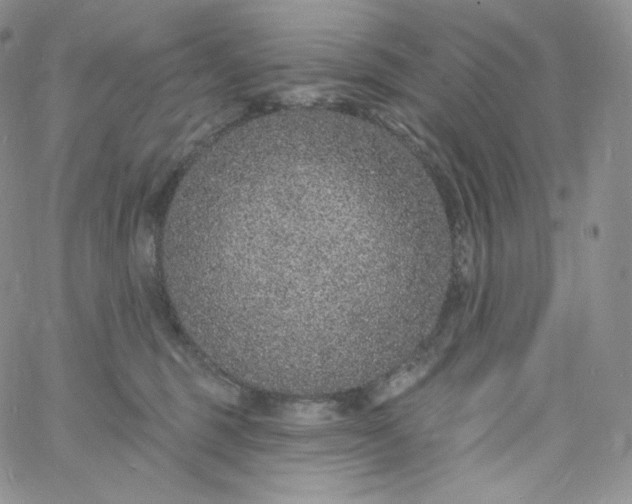 X0000060810375200511241941