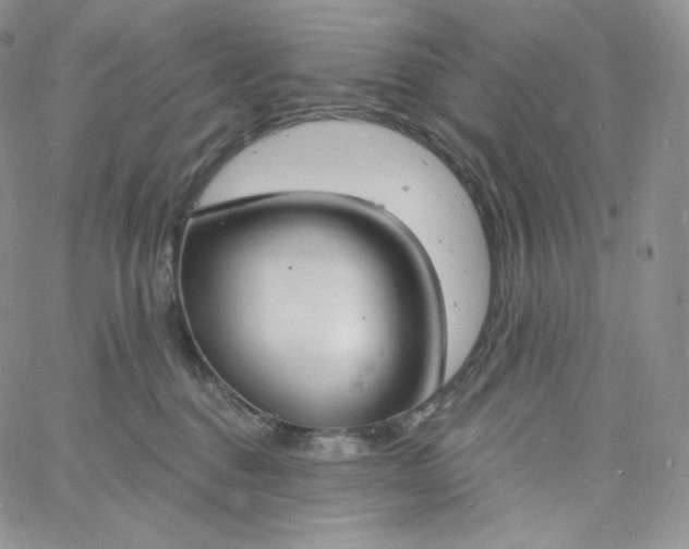 X0000060810376200511241941