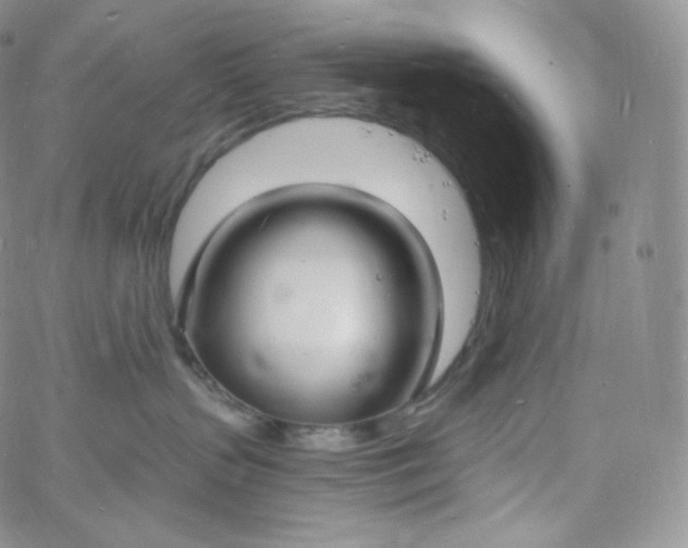 X0000060810383200511241941