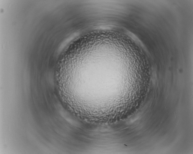 X0000060810386200511241941