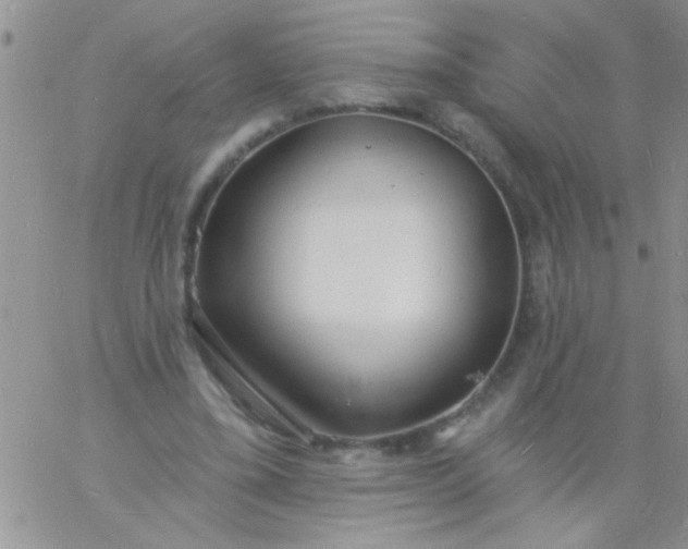X0000060810395200511241941