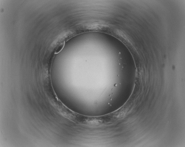 X0000060810407200511241940