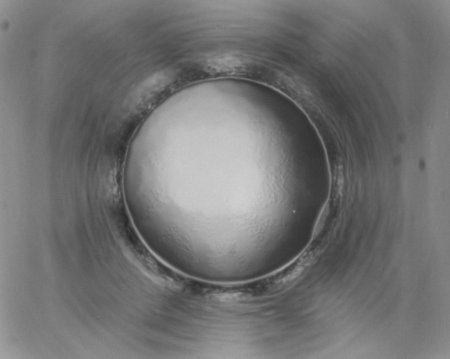 X0000060810408200511241940