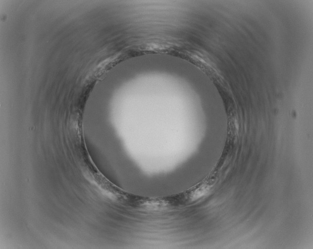 X0000060810415200511241940