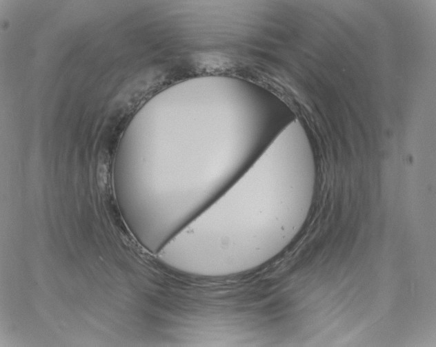 X0000060810417200511241940