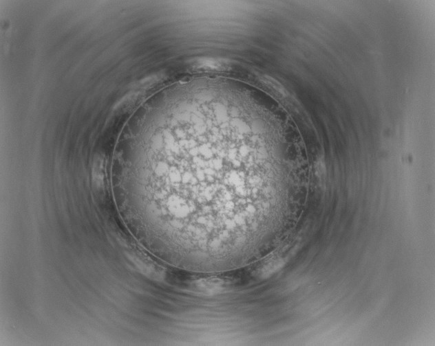 X0000060810423200511241940