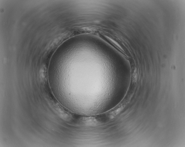 X0000060810424200511241940