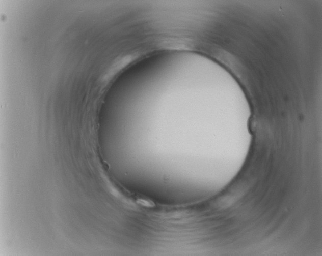 X0000060810433200511241939