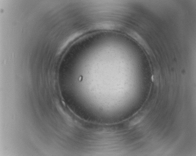 X0000060810434200511241939