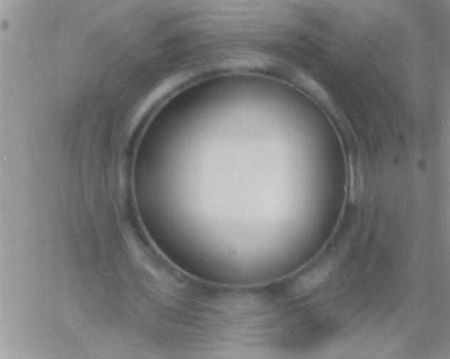 X0000060810435200511241939