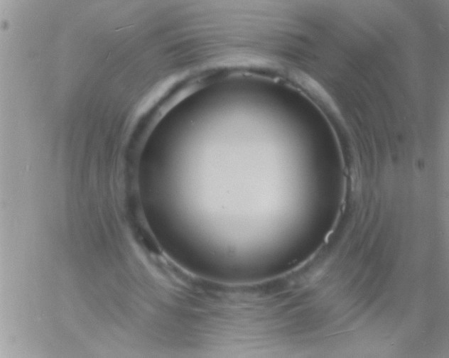 X0000060810436200511241939