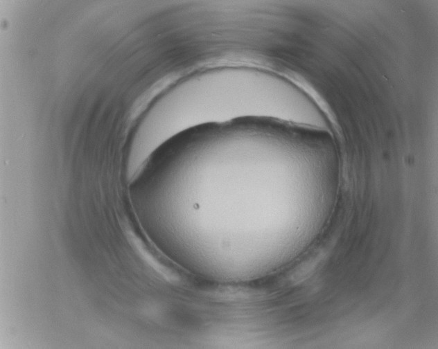 X0000060810437200511241939