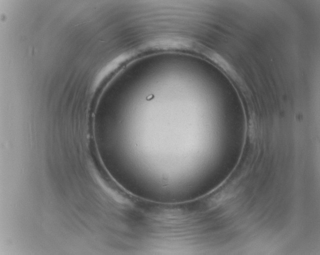 X0000060810438200511241939