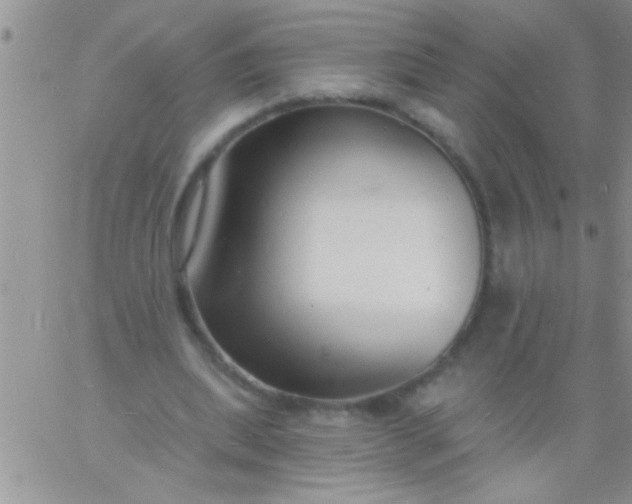 X0000060810439200511241939