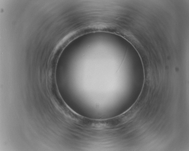 X0000060810440200511241939