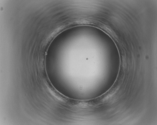 X0000060810441200511241939